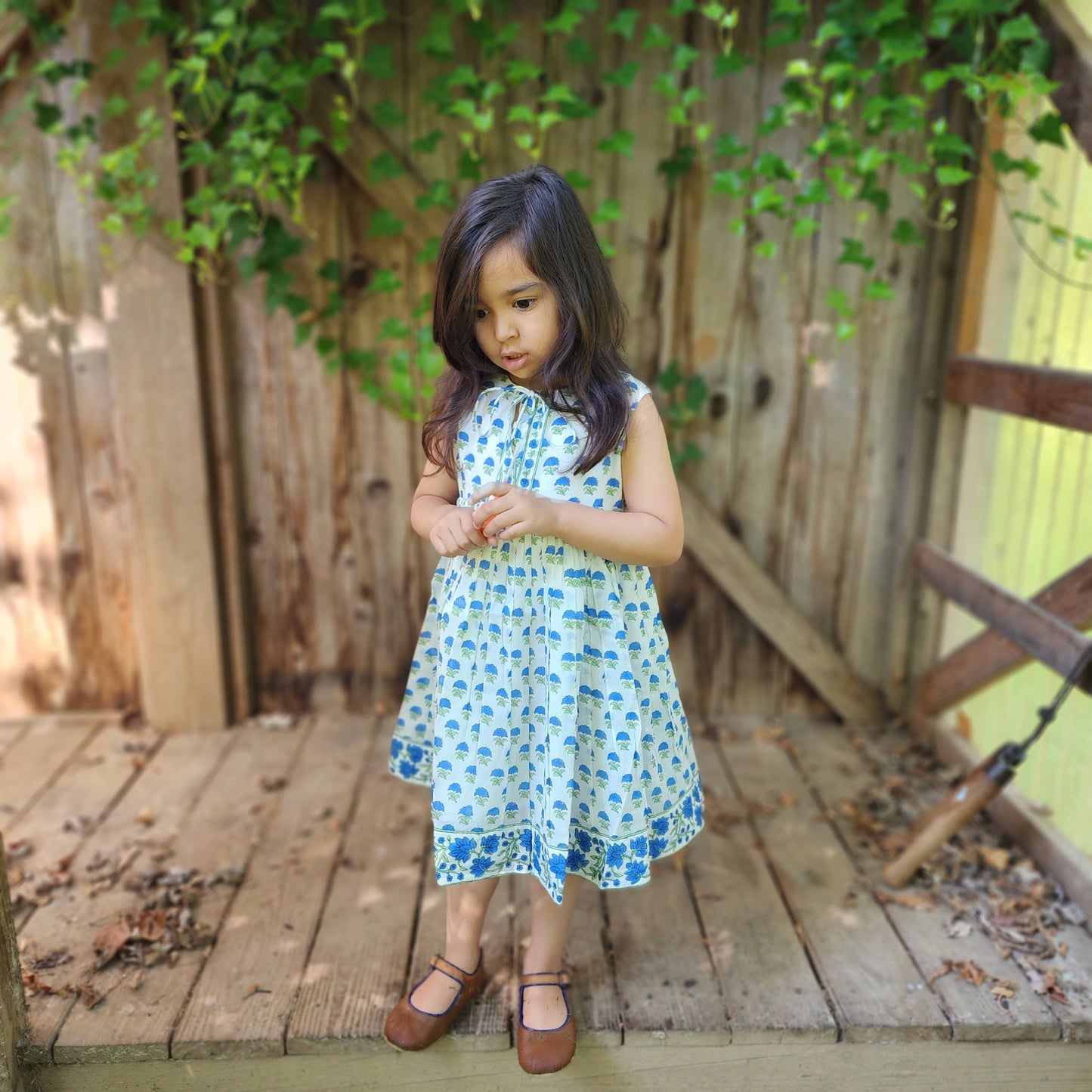 NAAVYA _ BLUE ASTER DRESS
