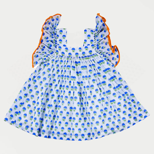 RIA _ BLUE ASTER DRESS